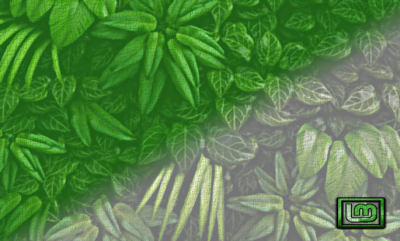 CanMint.png