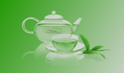 FreshMint.jpg