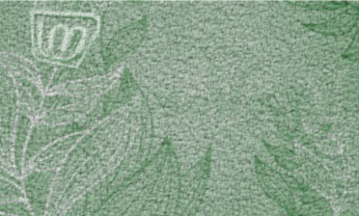 TlpM.png