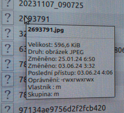 32.jpeg
